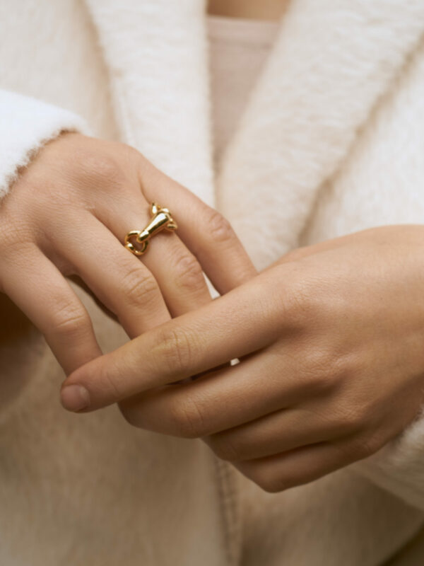 Circle Ring in Gold by Table