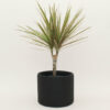 Large Plant Pot by Manzo Design - Image 7