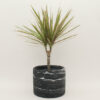 Large Plant Pot by Manzo Design - Image 9
