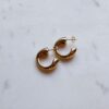 Small Hoop Earrings in Gold by NYU NYU
